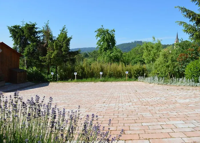 Chambres d'hôtes Les vignes